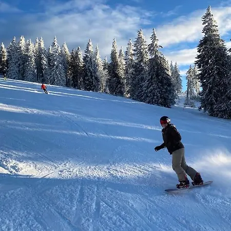 Waldnur ノイライヒェナウ