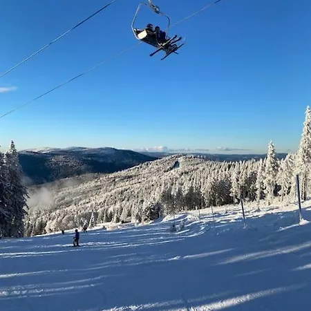 Waldnur 诺雷成奥