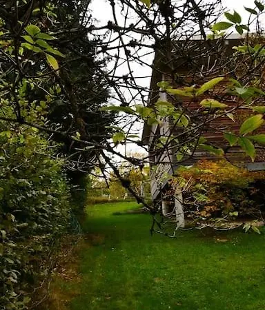 Waldnur * 诺雷成奥