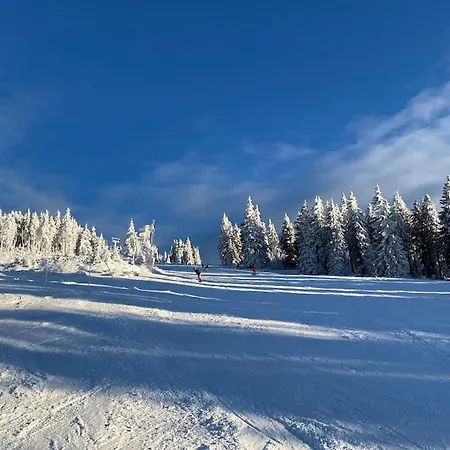 Waldnur 诺雷成奥
