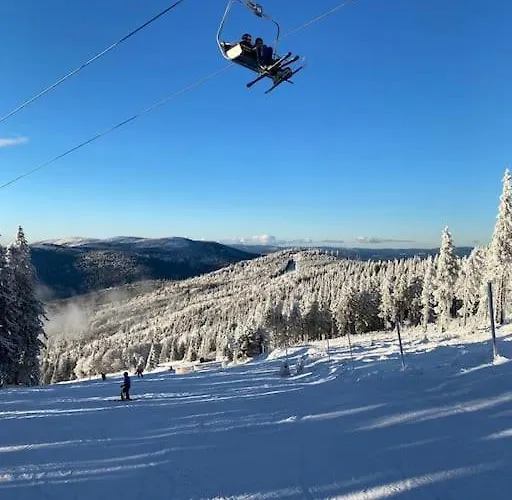 Waldnur Neureichenau