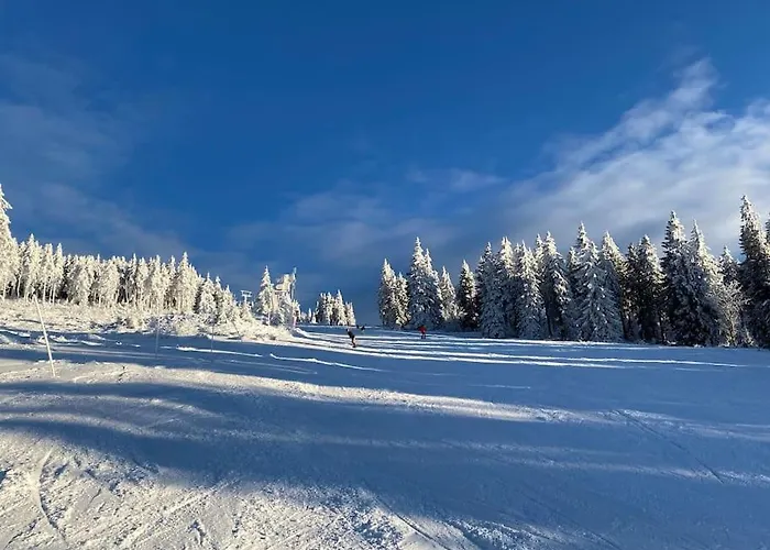 Waldnur Neureichenau