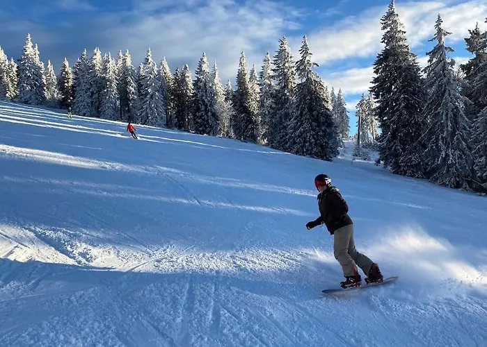 Waldnur Neureichenau